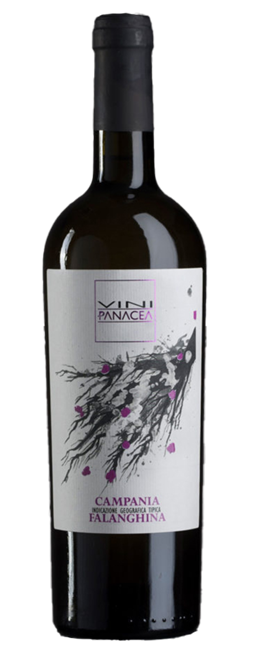 Vini Panacea Campania Falanghina bottle